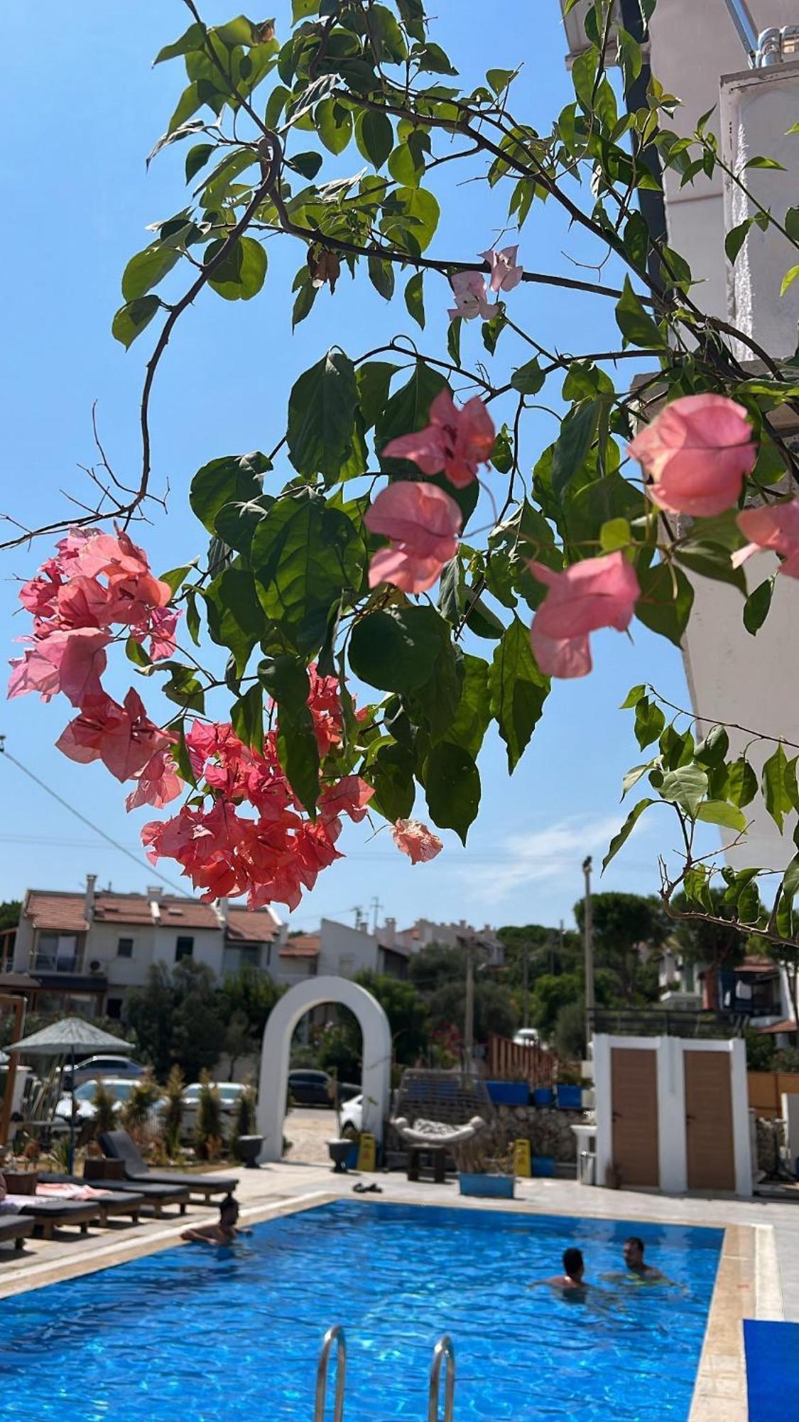 Belong Butik Otel Çeşme Eksteriør bilde